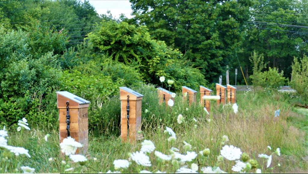 BEEFORTRESS 1024x579