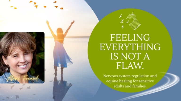 Alane Freund LMFT Holistic Therapy for Highly Sensitive People in Marin County California 768x432